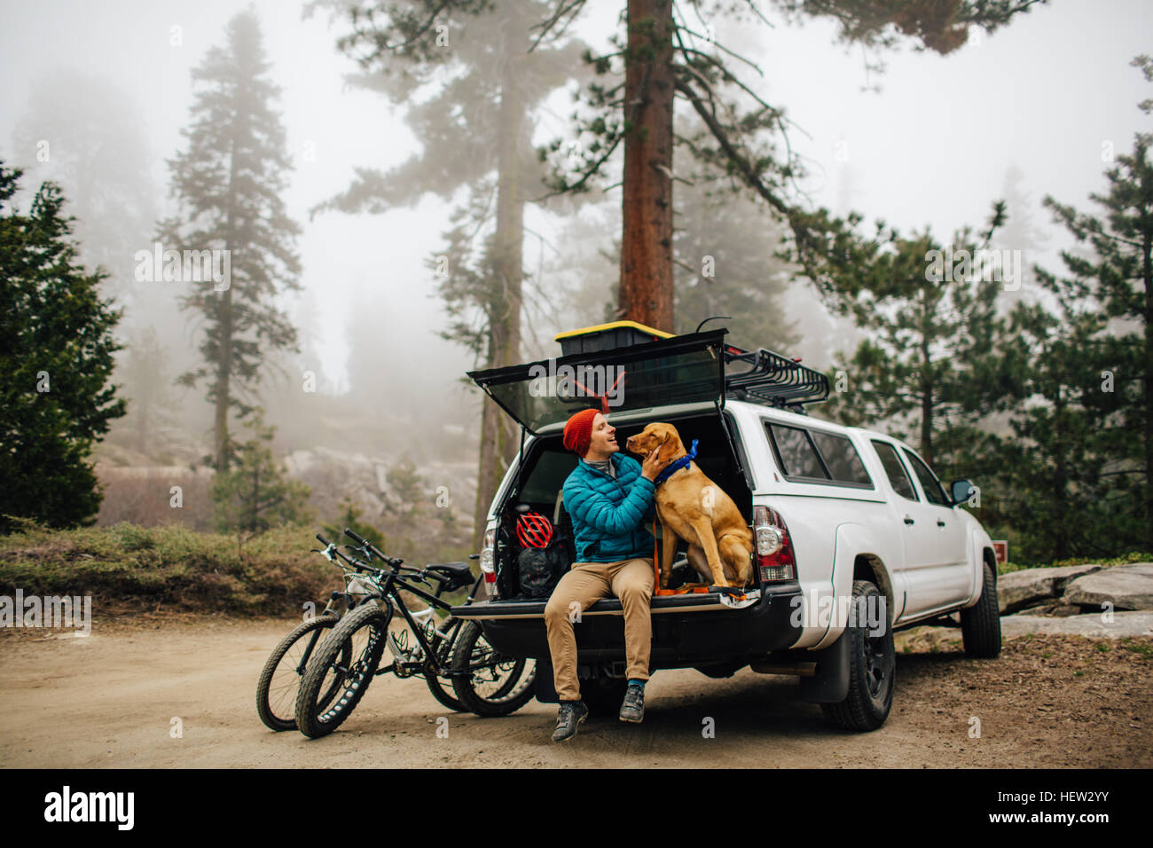 Man and dog sitting on tailgate of off road vehicle, Sequoia National Park, California, USA Stock Photo