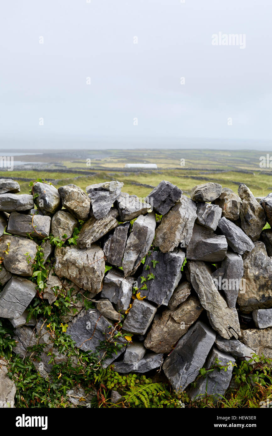 Stone wall and rural scene, Inishmore, Ireland Stock Photo