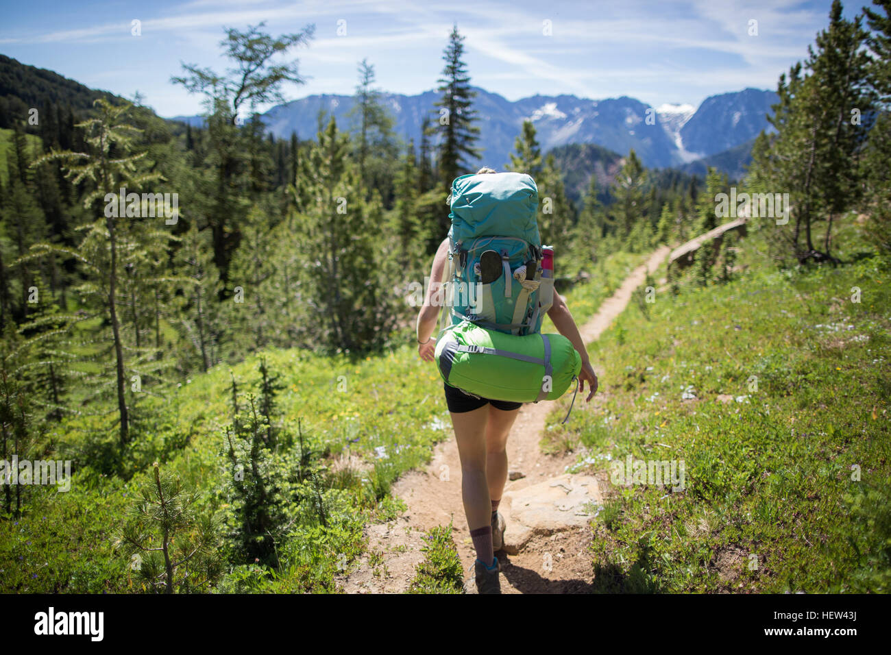 Hiker walking across forest, Enchantments, Alpine Lakes Wilderness, Washington, USA Stock Photo