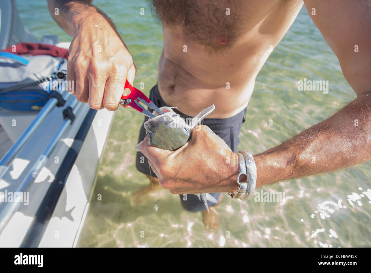 Man pulling hook from fish's mouth after being caught, mid section, Fort Walton Beach, Florida, USA Stock Photo