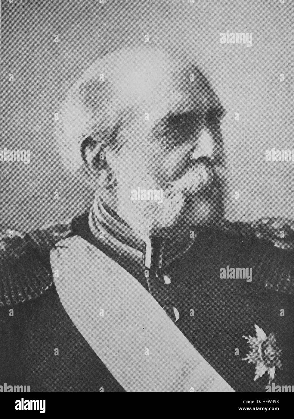 Frederick William, Grand Duke of Mecklenburg, 17 October 1819 - 30 May 1904, German sovereign who ruled over the state of Mecklenburg-Strelitz from 1860 until his death, picture from 1895, digital improved Stock Photo