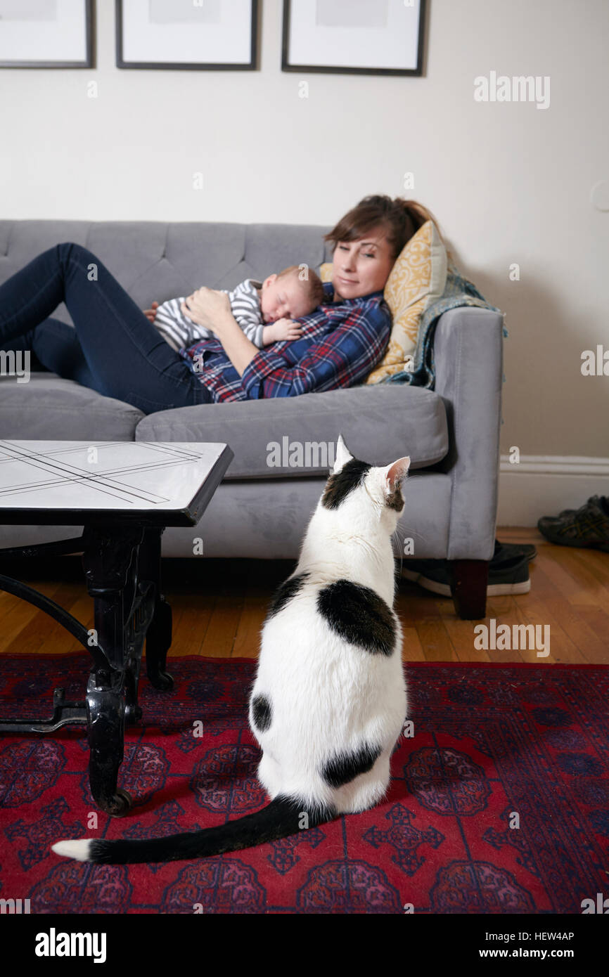 Mother and baby boy lying on sofa looking at cat Stock Photo