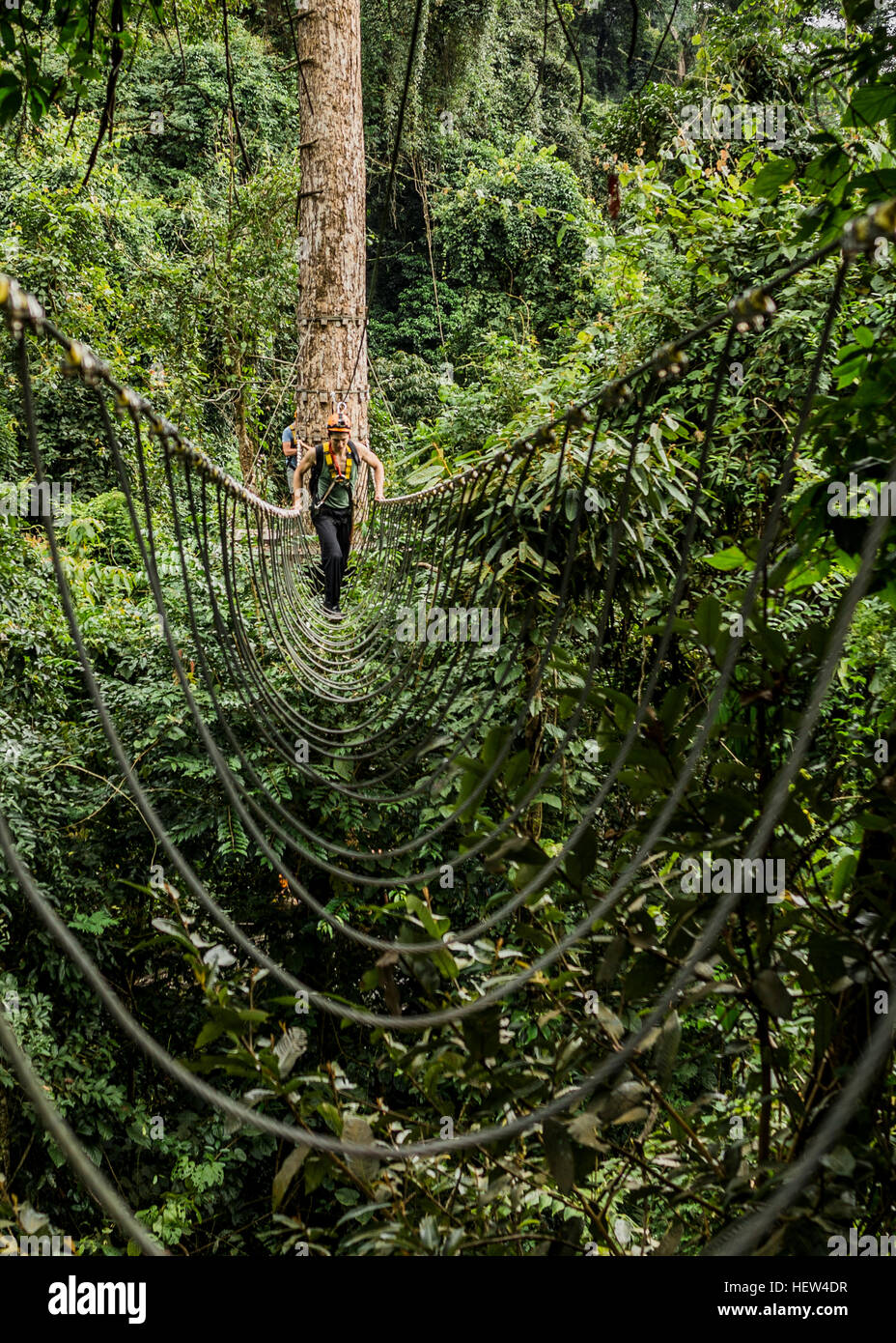 Man crossing rope bridge in hi-res stock photography and images - Alamy