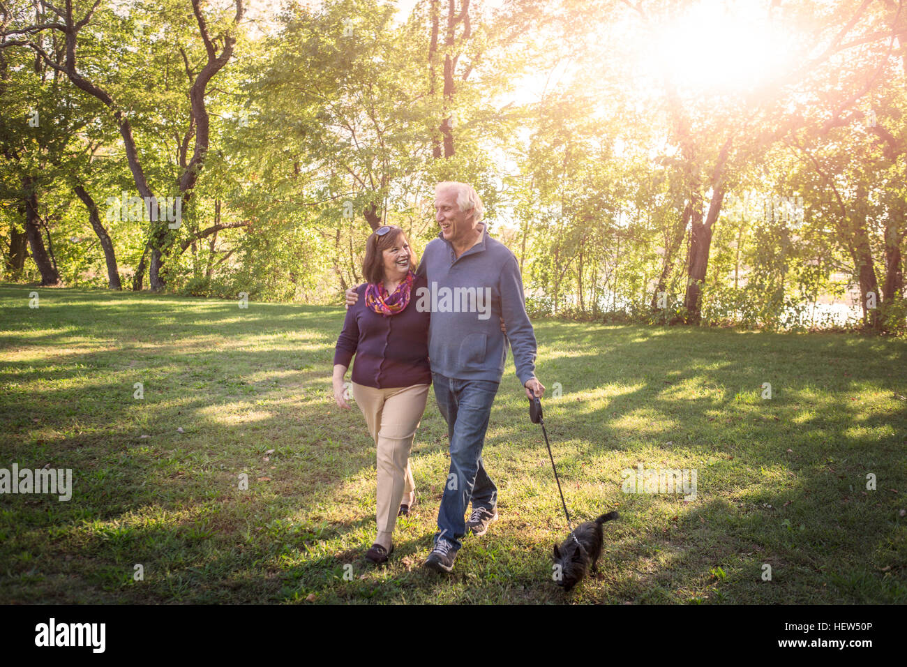 Romantic senior couple walking the dog in sunlit park Stock Photo