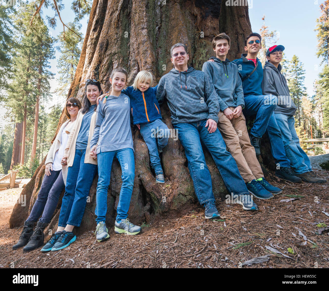 Portrait of group of people standing around large tree, Sequoia National Park, California, USA Stock Photo