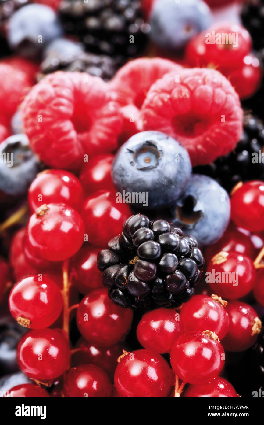 Mixed forest berries, blueberries, raspberries, blackberries, red currants Stock Photo