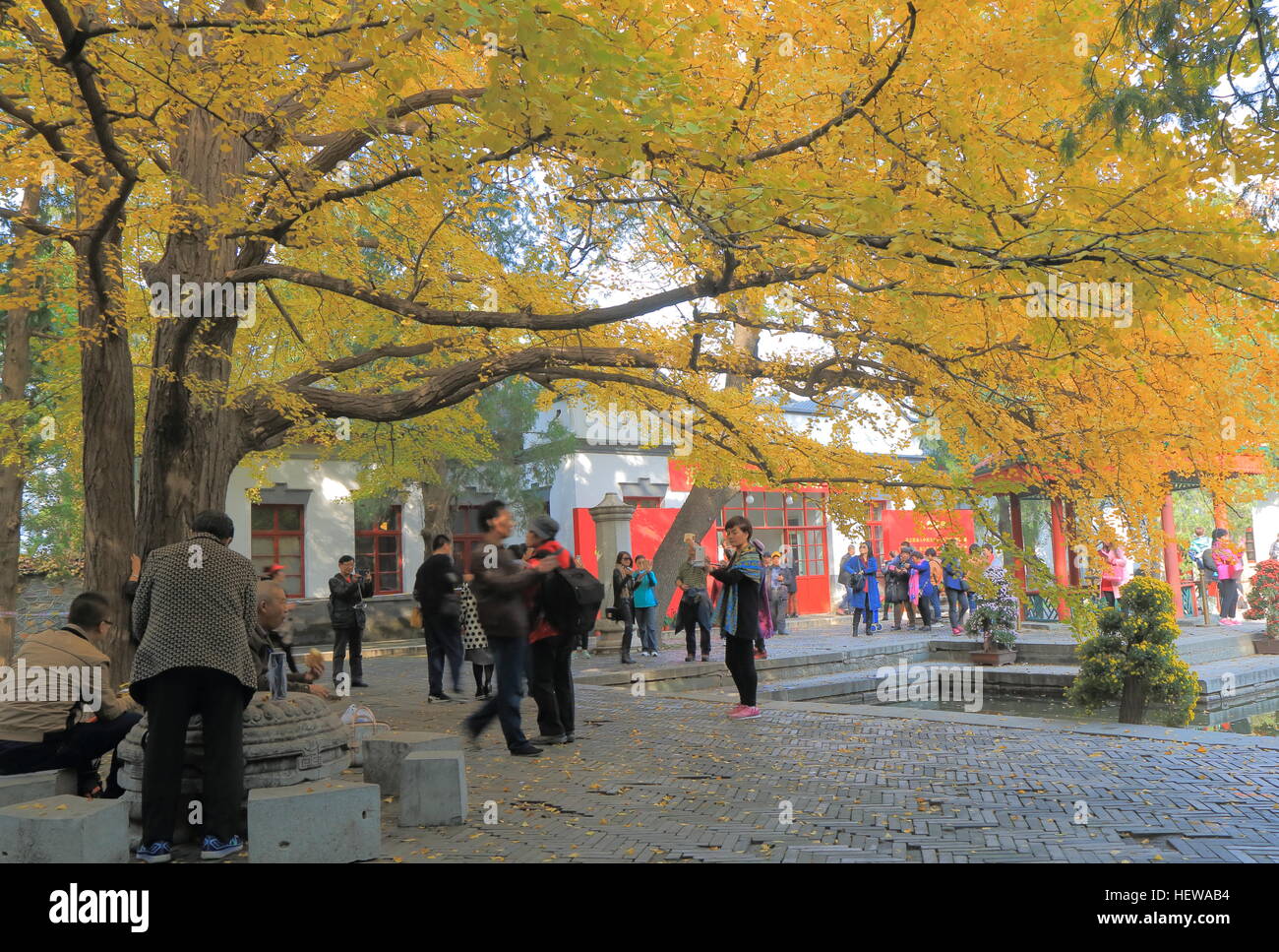People visit Xiangshan park autumn leaves festival in Beijing China ...