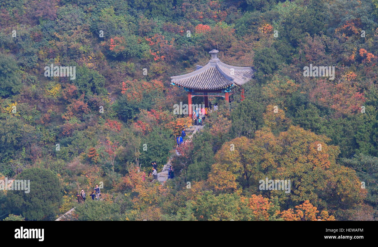People visit Xiangshan park autumn leaves festival in Beijing China ...