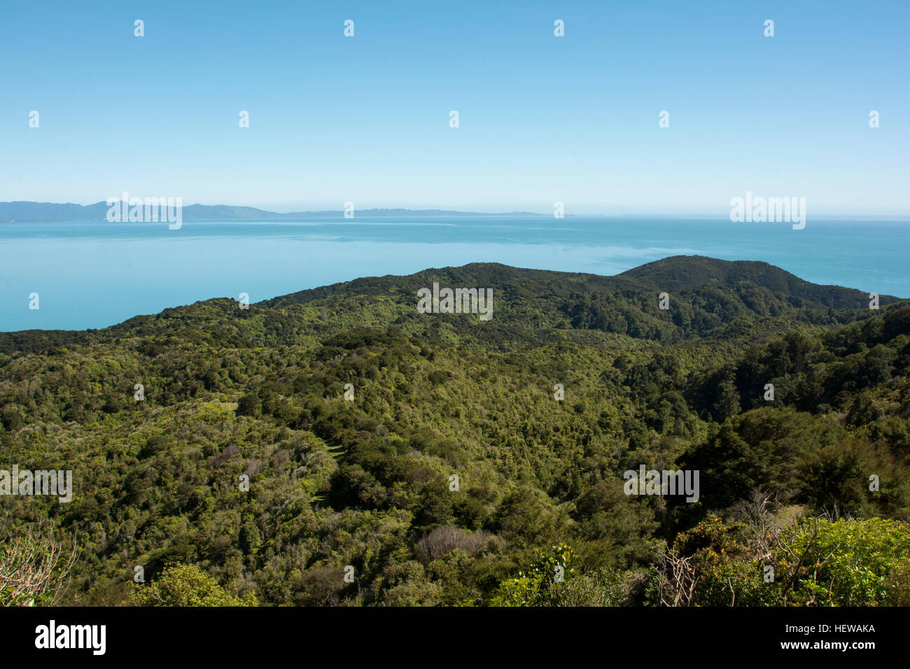 Along the Pukatea Walk regenerating forest grows high above the blue bays in the very northern part of Abel Tasman National Park Stock Photo