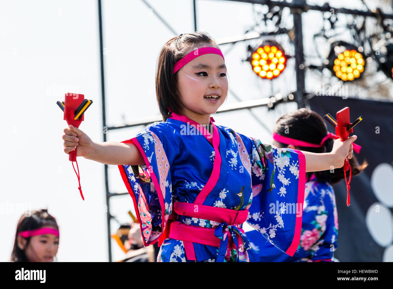 Japanese Yosakoi festival. Child, girl, dancing as part of team, wears traditional yukata jacket, holding naruko, wooden clappers, in each hand. Stock Photo