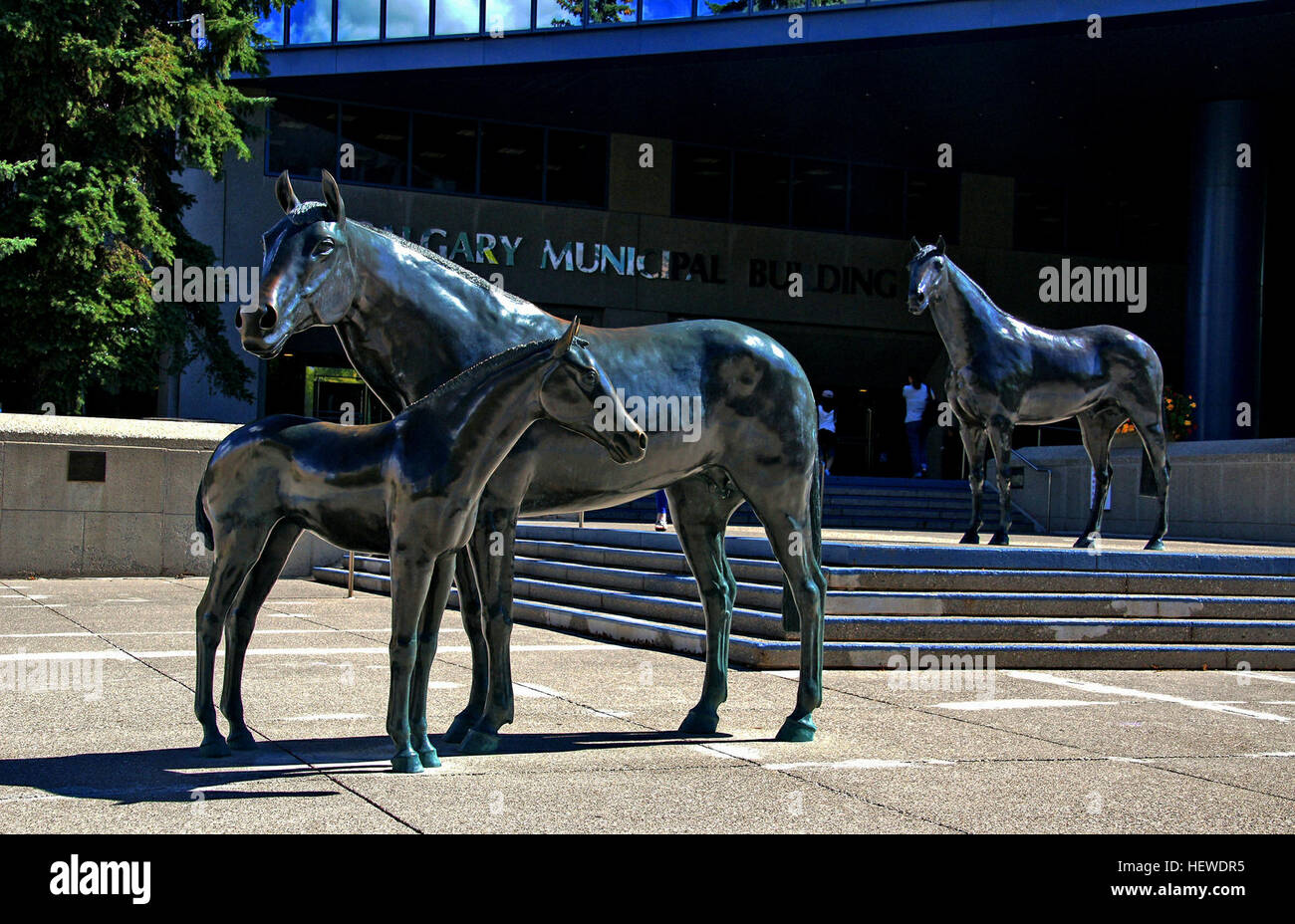 ication (,),Alberta,Bronze horse,Calgary,Calgary Sightseeing,Canada