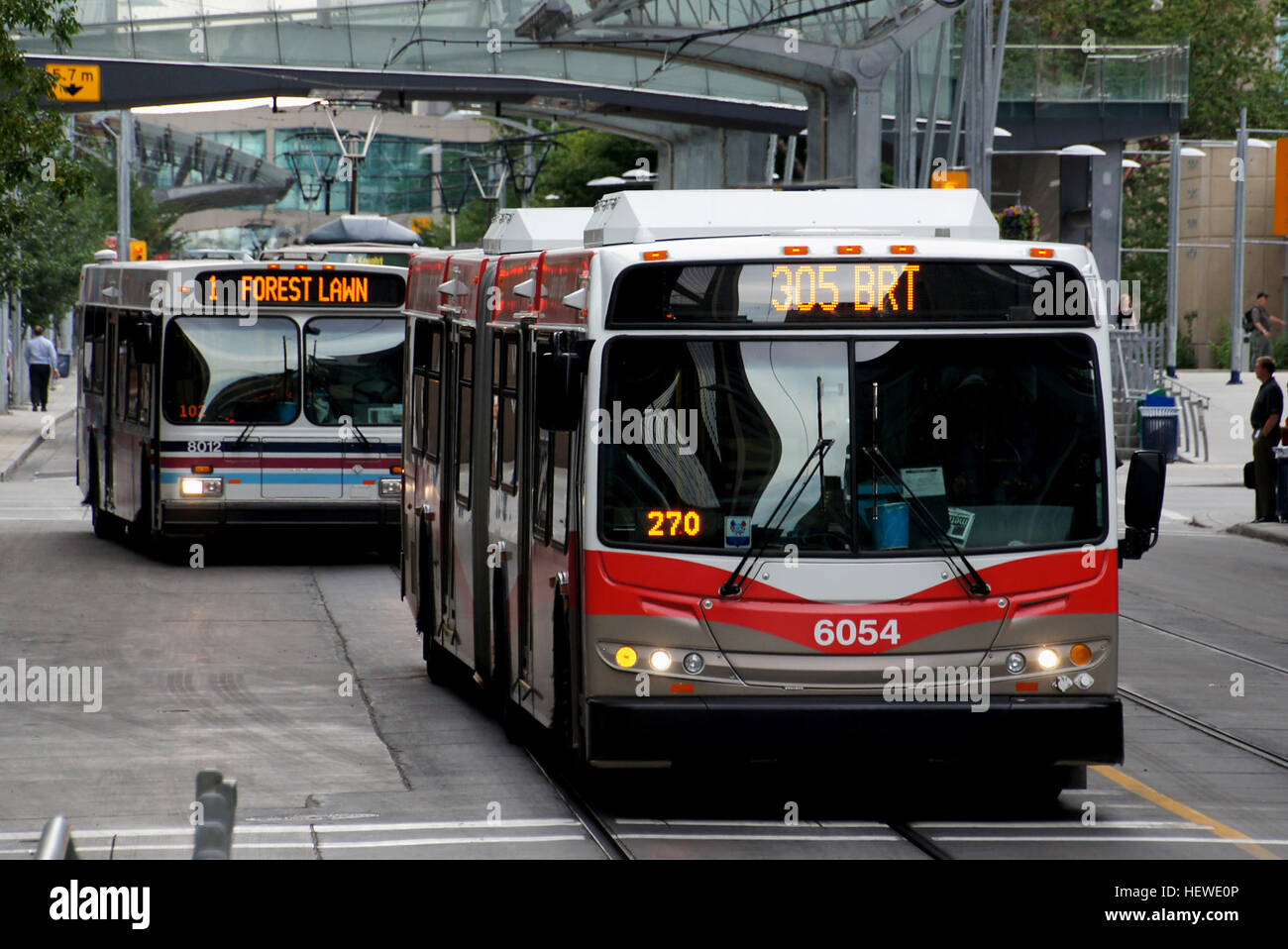 BRT is a distinctive, frequent, and limited stop bus service, similar to LRT, (the CTrain). BRT is being introduced in advance of future LRT lines. BRT will operate on regular roads with transit priority at traffic signals and other enhanced service features such as improved passenger waiting areas and larger shelters at some stops. Eventually, Calgary Transit will operate larger capacity, articulated buses on BRT routes. Stock Photo