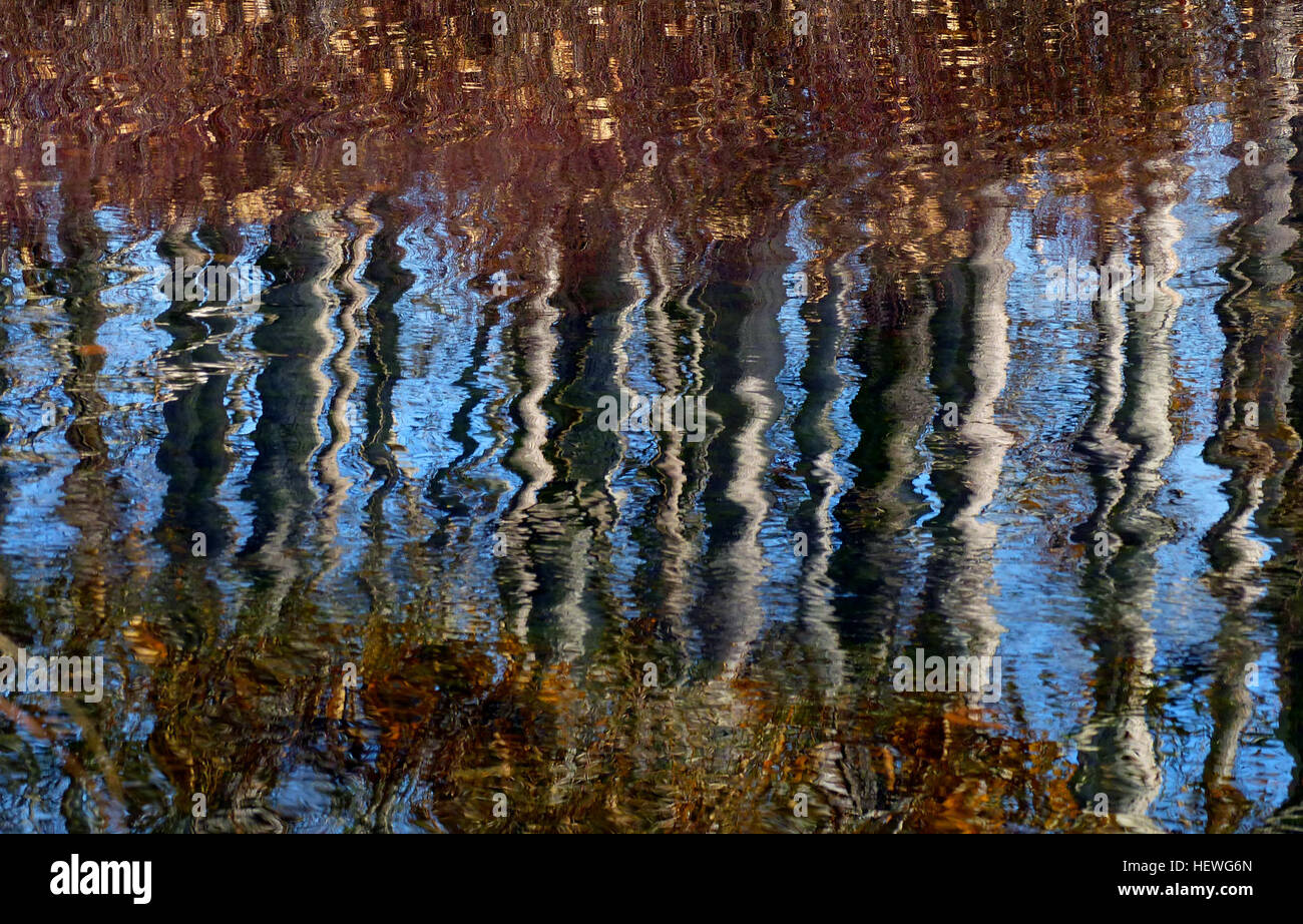 Reflection is the change in direction of a wavefront at an interface