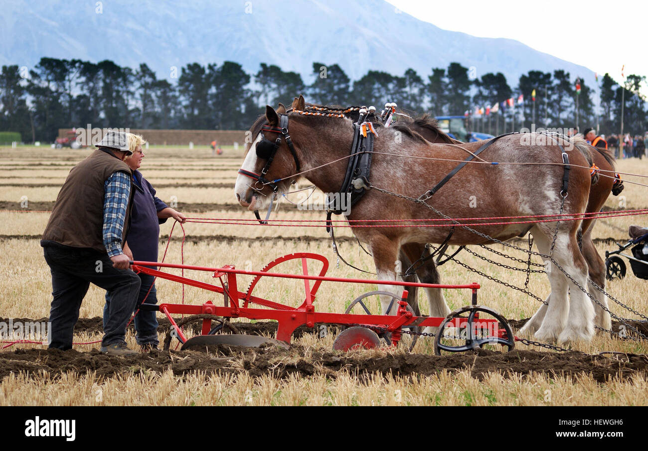 Used in farming for initial cultivation of soil in preparation hires