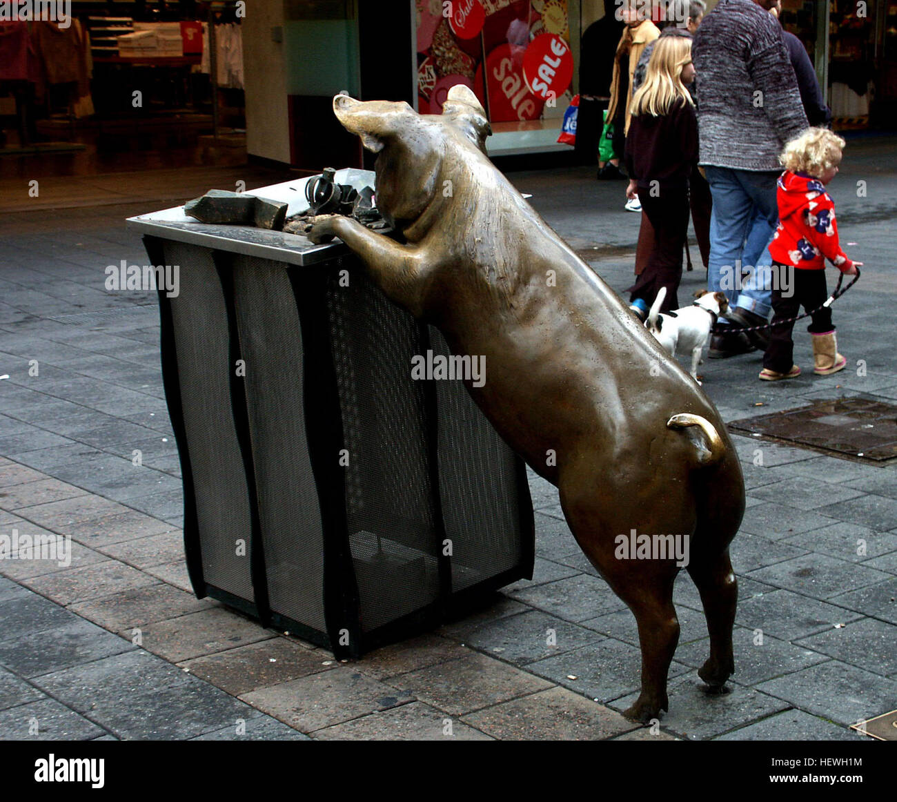 Rundle Mall is home to a bronze sculpture of a group of life-sized pigs, officially known as 'A Day Out' by Marguerite Derricourt.  The sculpture is landmark 3 on the Rundle Mall Discovery Trail.  The four pigs - Truffles (the standing pig), Horatio (the sitting pig), Oliver (the pig at the bin) and Augusta (the trotting pig) - are depicted in lively poses as if they were walking the street, greeting shoppers, and sniffing out a bargain.   They were commissioned by the Adelaide City Council as part of the final phase of the last upgrade of Rundle Mall. Stock Photo