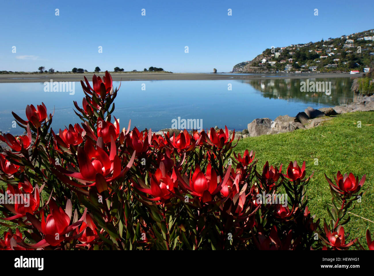 Bang for your buck hires stock photography and images Alamy