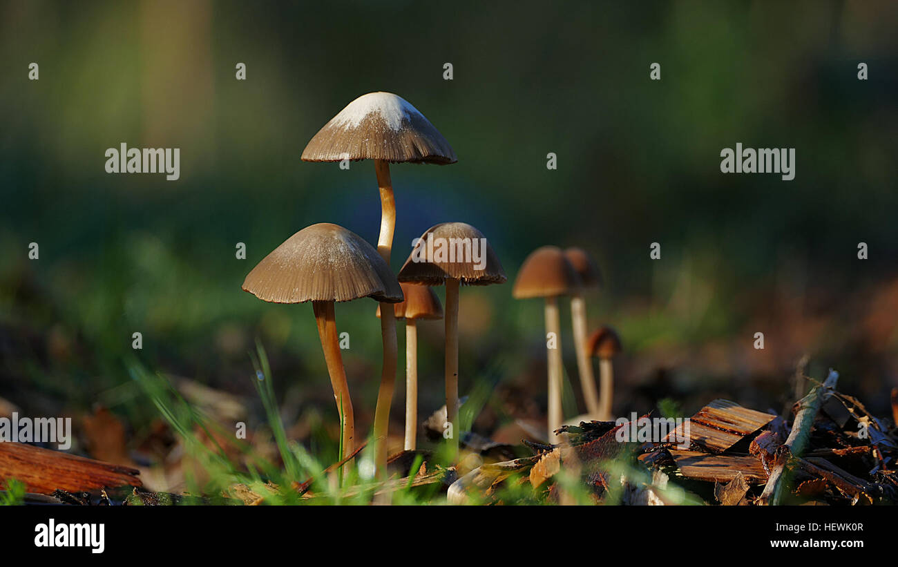 Wet Roadsides High Resolution Stock Photography and Images - Alamy