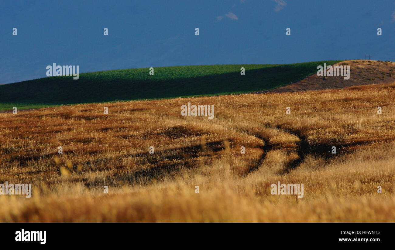 A paddock has two primary meanings in different parts of the English