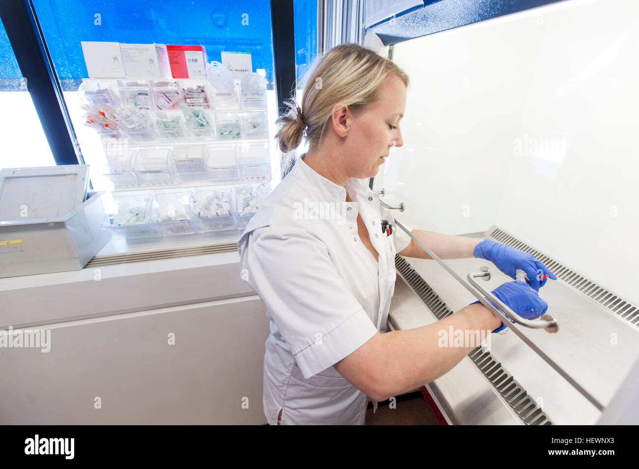 Nurse using biological safety cabinet Stock Photo