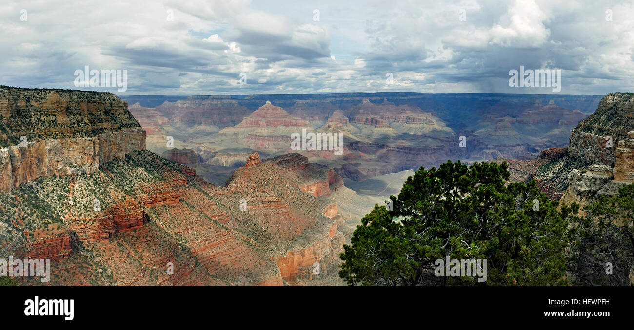 Around five million people each year see the 1 mile deep (1.6 km) Grand Canyon each year. The canyon is 277 river miles (446km) long, and up to 18 miles (29km) wide.  Most visitors (90%) see Grand Canyon from the &quot;South Rim&quot; from overlooks accessed by free park shuttle buses or by their personal vehicles. The South Rim is open all year.  A much smaller number of people (10%) see the canyon from the North Rim of the park, which lies just 10 miles (16 km) across the canyon from the South Rim, (as the California condor flies) but is a 220 mile/ 354 km drive by car. Stock Photo