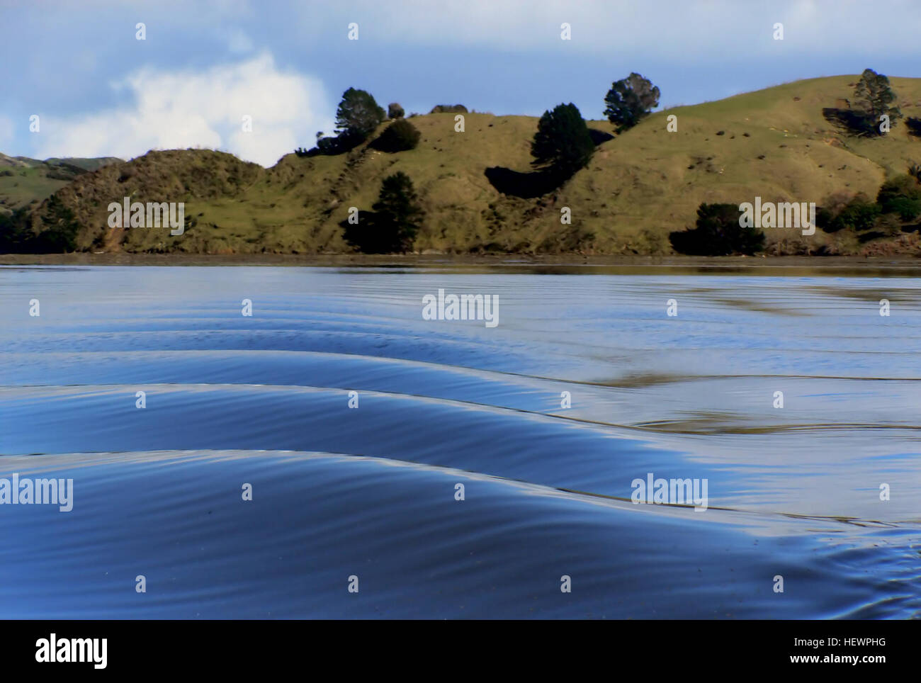ication (,),Hokianga Tourism Association,Northland New Zealand,The Hokianga Harbour,Water ripples,waves Stock Photo
