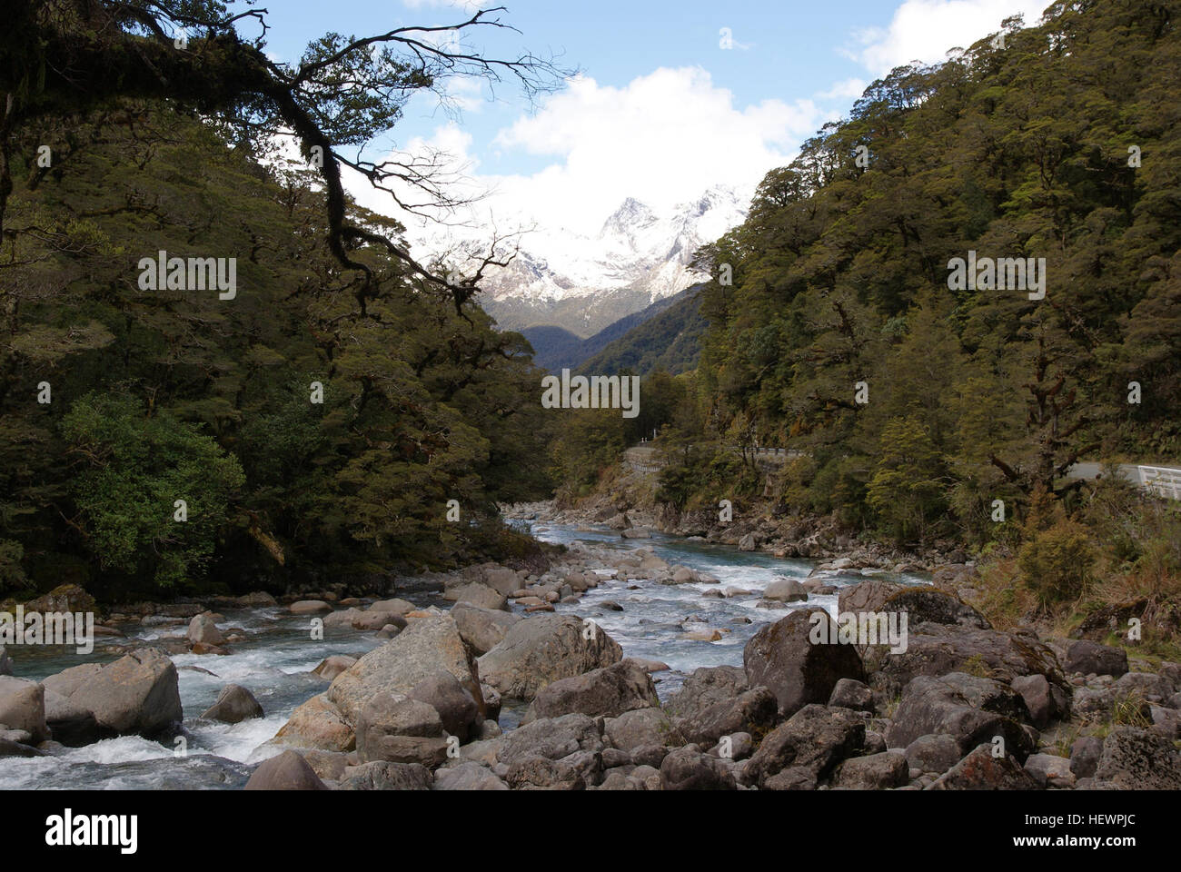 ication (,),Boat ride,Fiordland,Fiordland Nationial Park,FlickrElite,Grand Pacific Tours,High cliffs,Hollyford  River,Jucy Cruises,Lunch cruise,New Zealand,Real Journeys' 'Southern Discoveries,WATERFALLS,WILD LIFE,mountains,world heritage site Stock Photo