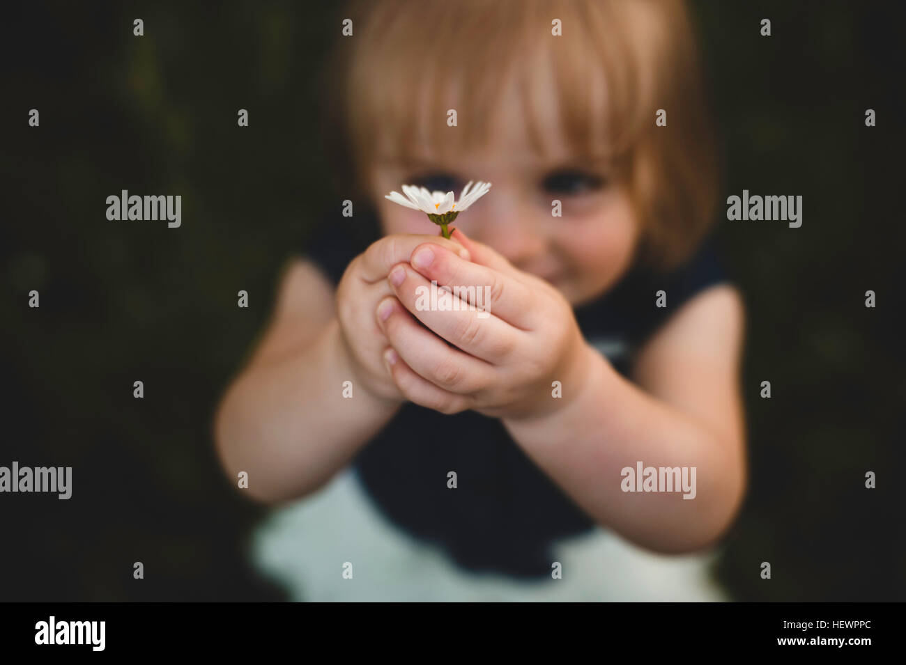 Girl holding up daisy flower smiling Stock Photo - Alamy