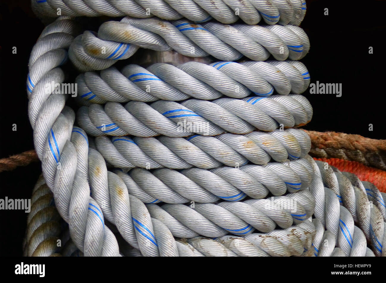 Polyester Rope is manufactured from Polyester fibre, the second