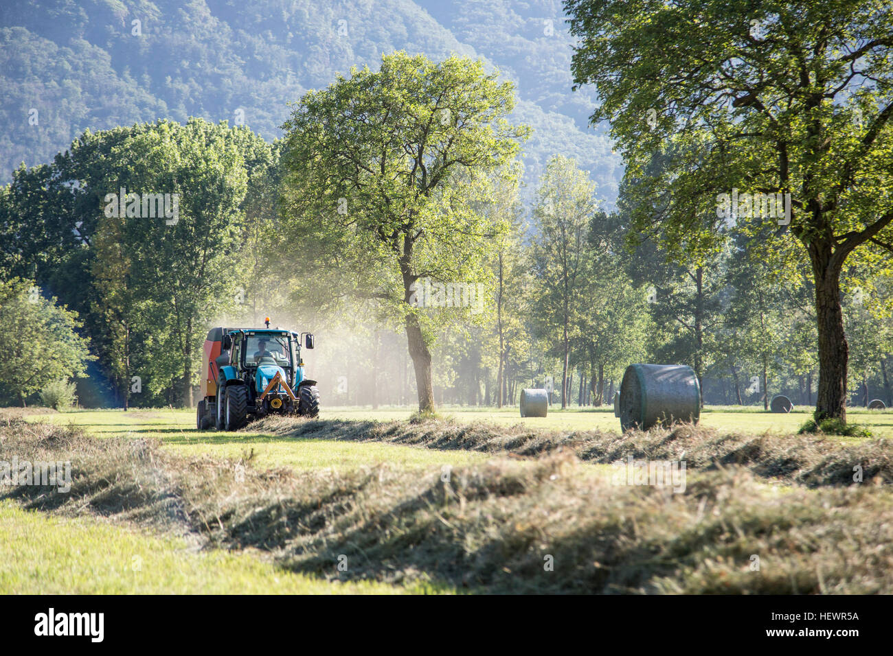 Harvesting work with tractor hi-res stock photography and images - Alamy