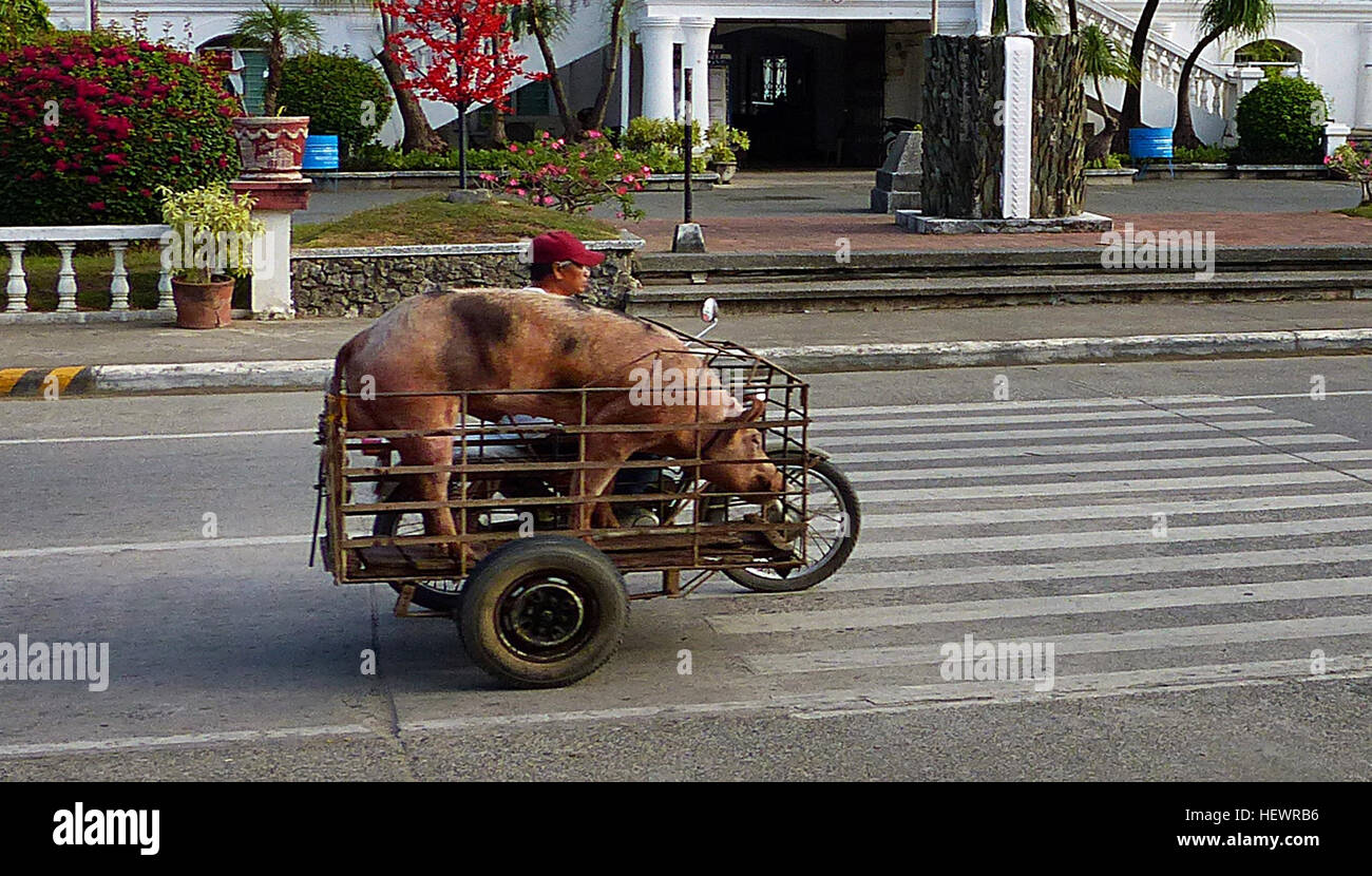 Cargo Tricycles[edit] Cargo tricycles are also used in the Philippines