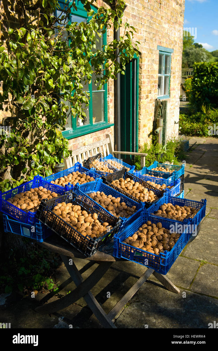 Farm produce crates hires stock photography and images Alamy