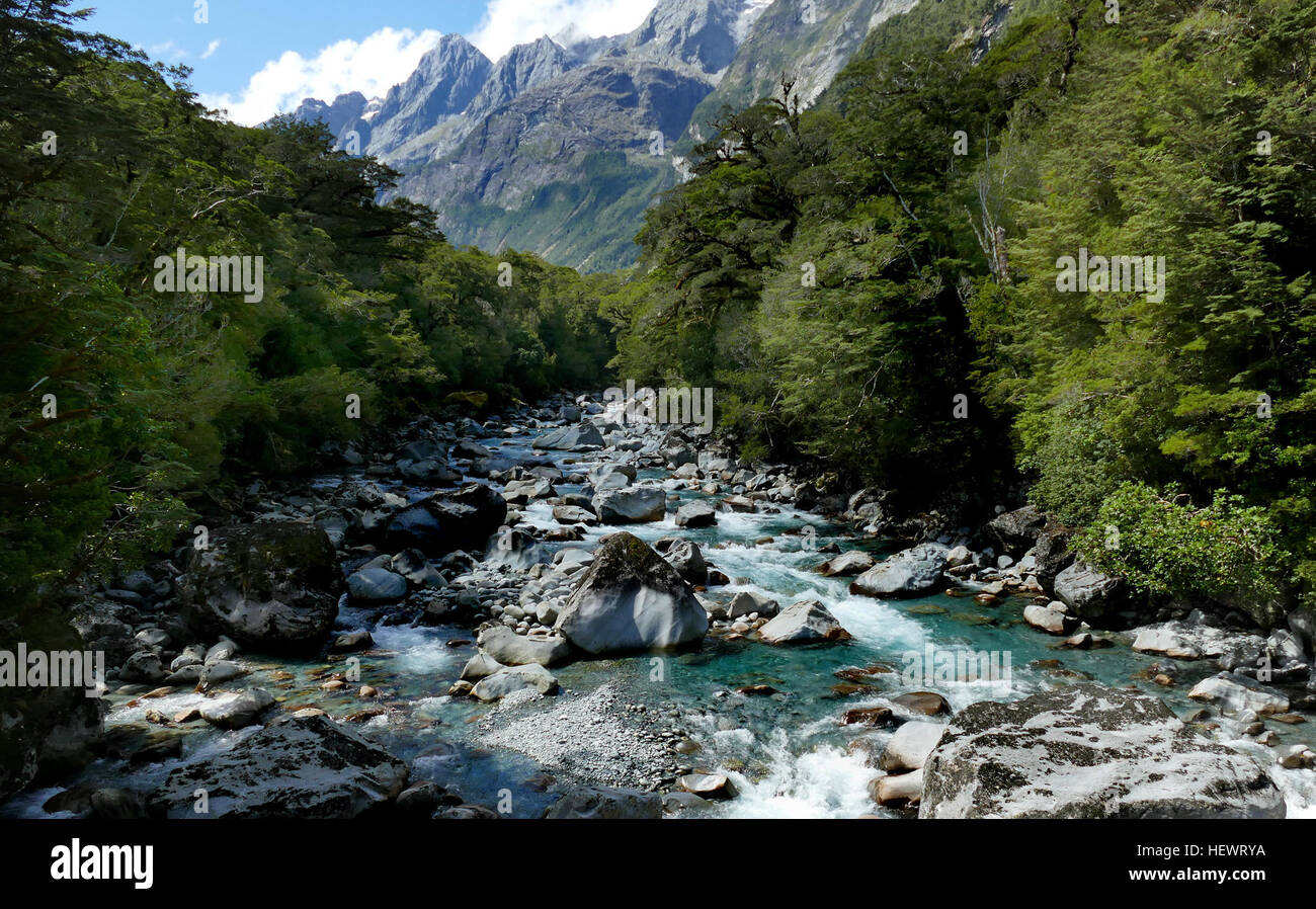 The Tutoko River is a river in New Zealand, a tributary of the Cleddau River. Stock Photo