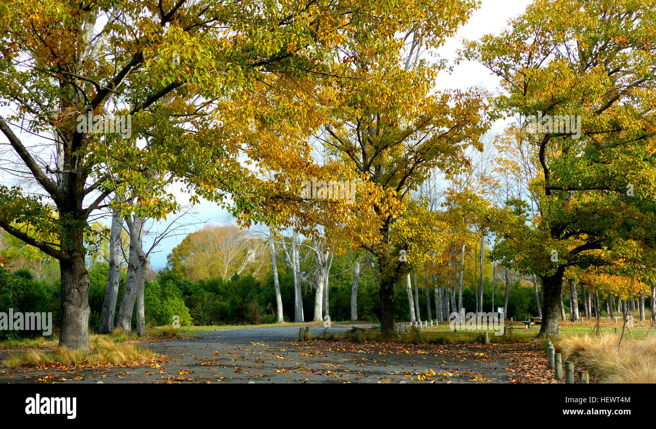 Autumn is a third season of the year. Altogether there are four seasons:      Spring     Summer     Autumn     Winter  In some countries like America, autumn is known as fall. Stock Photo