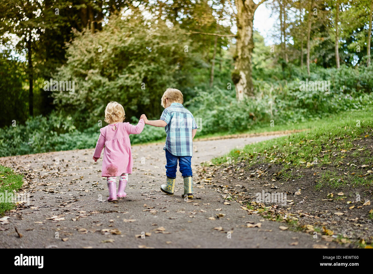 Rear view of brother and sister holding hands walking in park Stock ...
