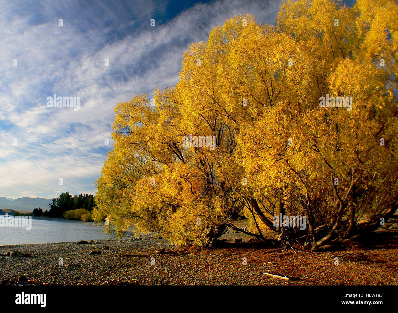 A scenic view of Lake Tekapo, situated in New Zealand’s South Island ...