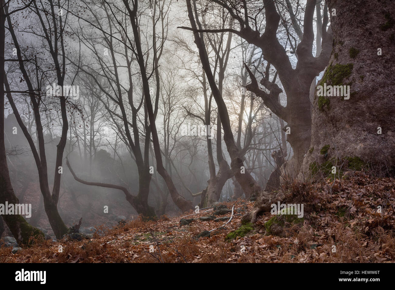 Mist misty mediterranean sea hi-res stock photography and images - Alamy