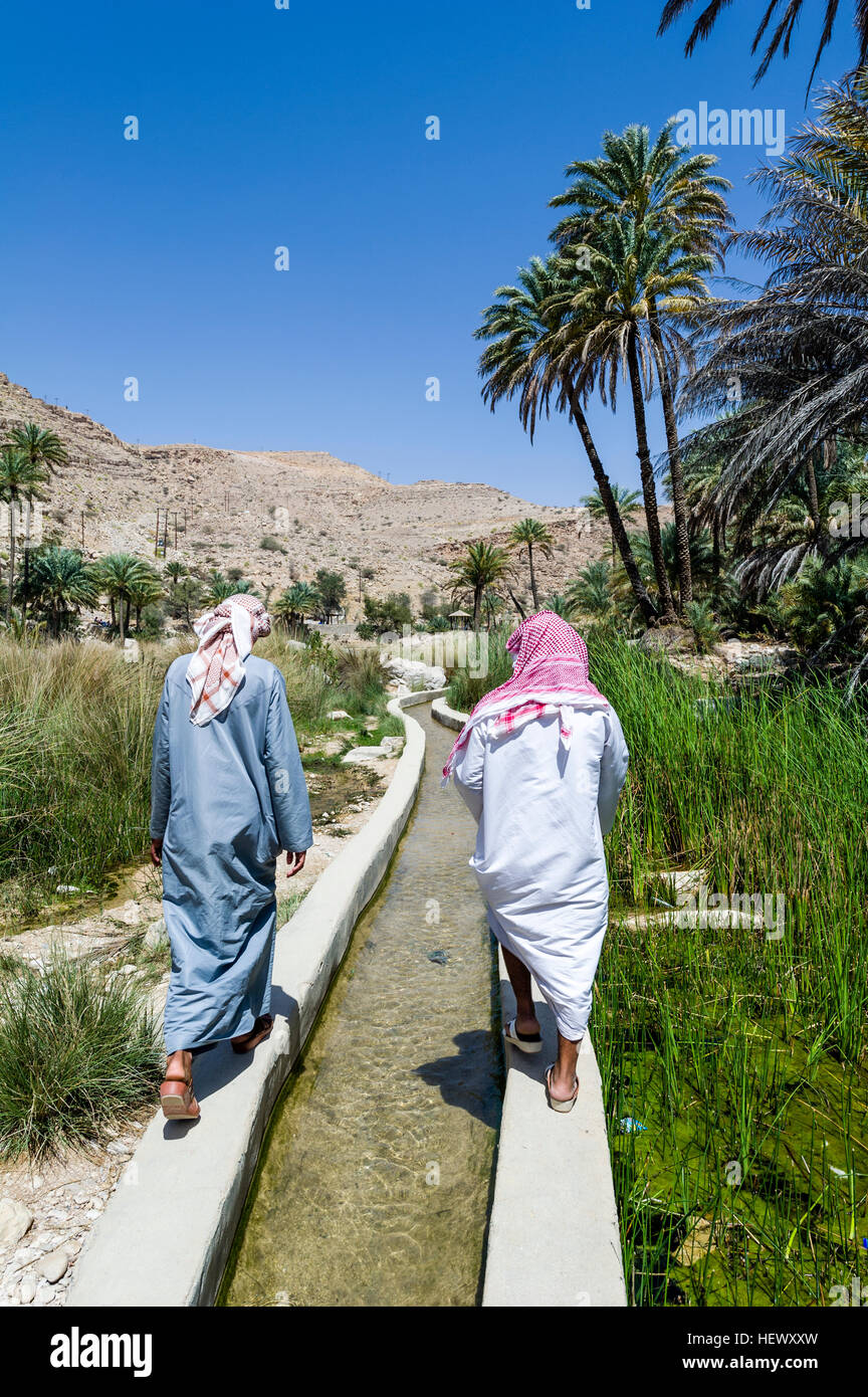 Arabic men wearing dishdasha and masar walk along a falaj transporting water from a desert wadi. Stock Photo