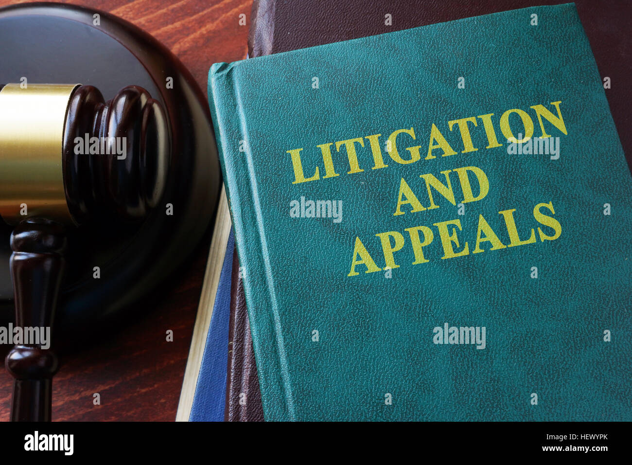 Litigation and appeals title on a book and gavel. Stock Photo
