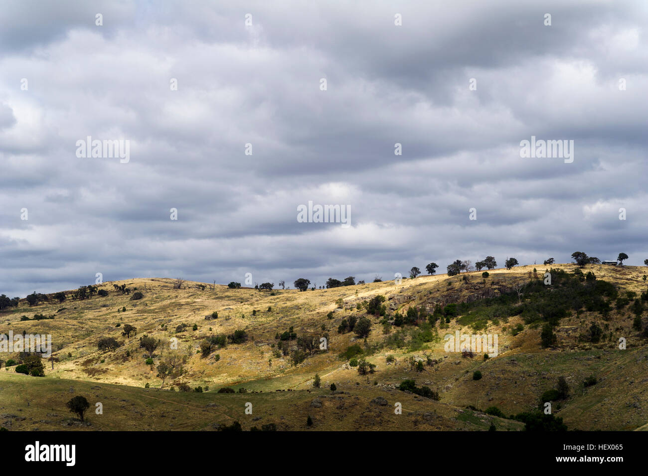 Rain clouds above dry rolling farmland on a summer day. Stock Photo