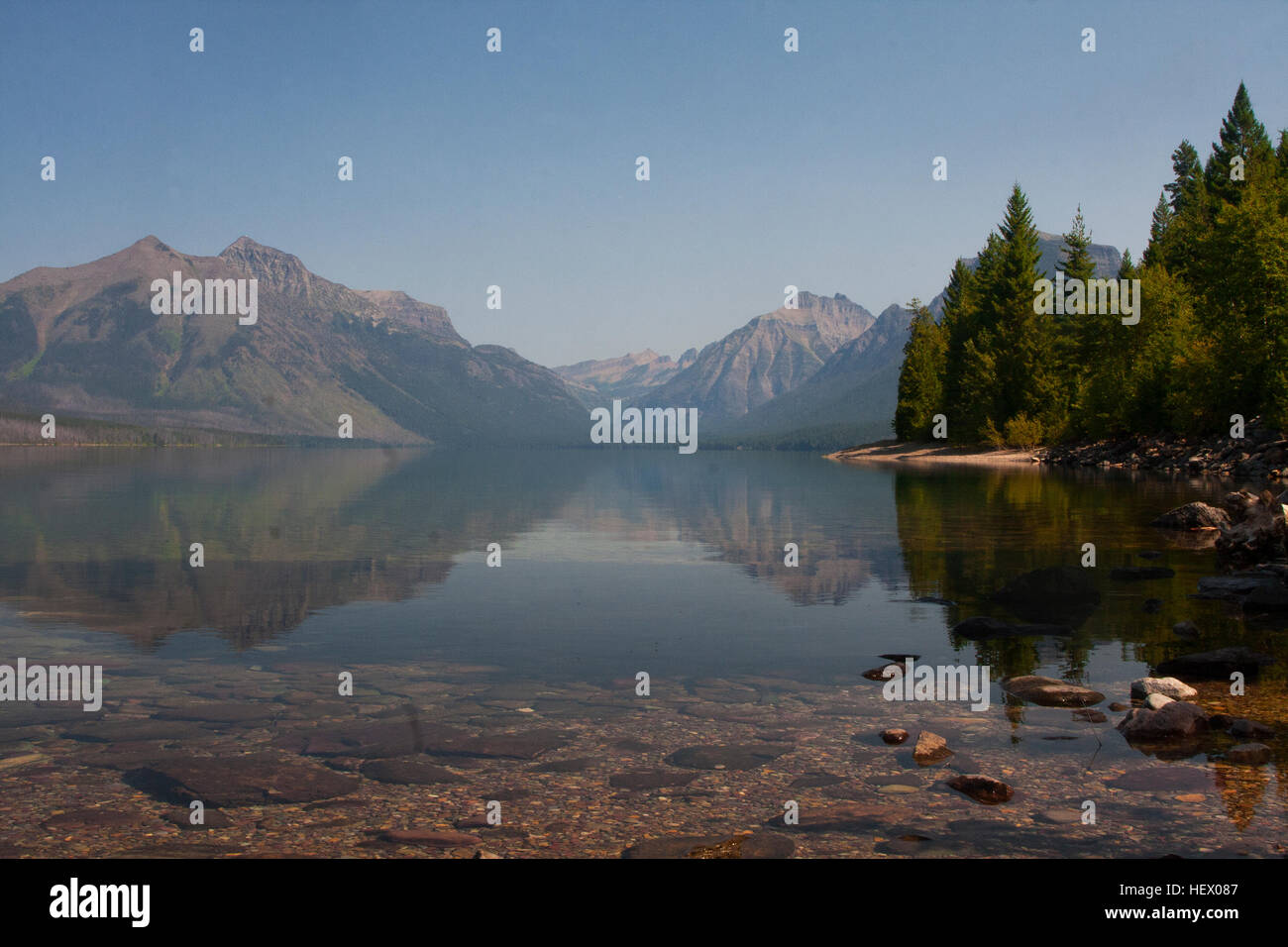 Pristine forests and forests hi-res stock photography and images - Alamy