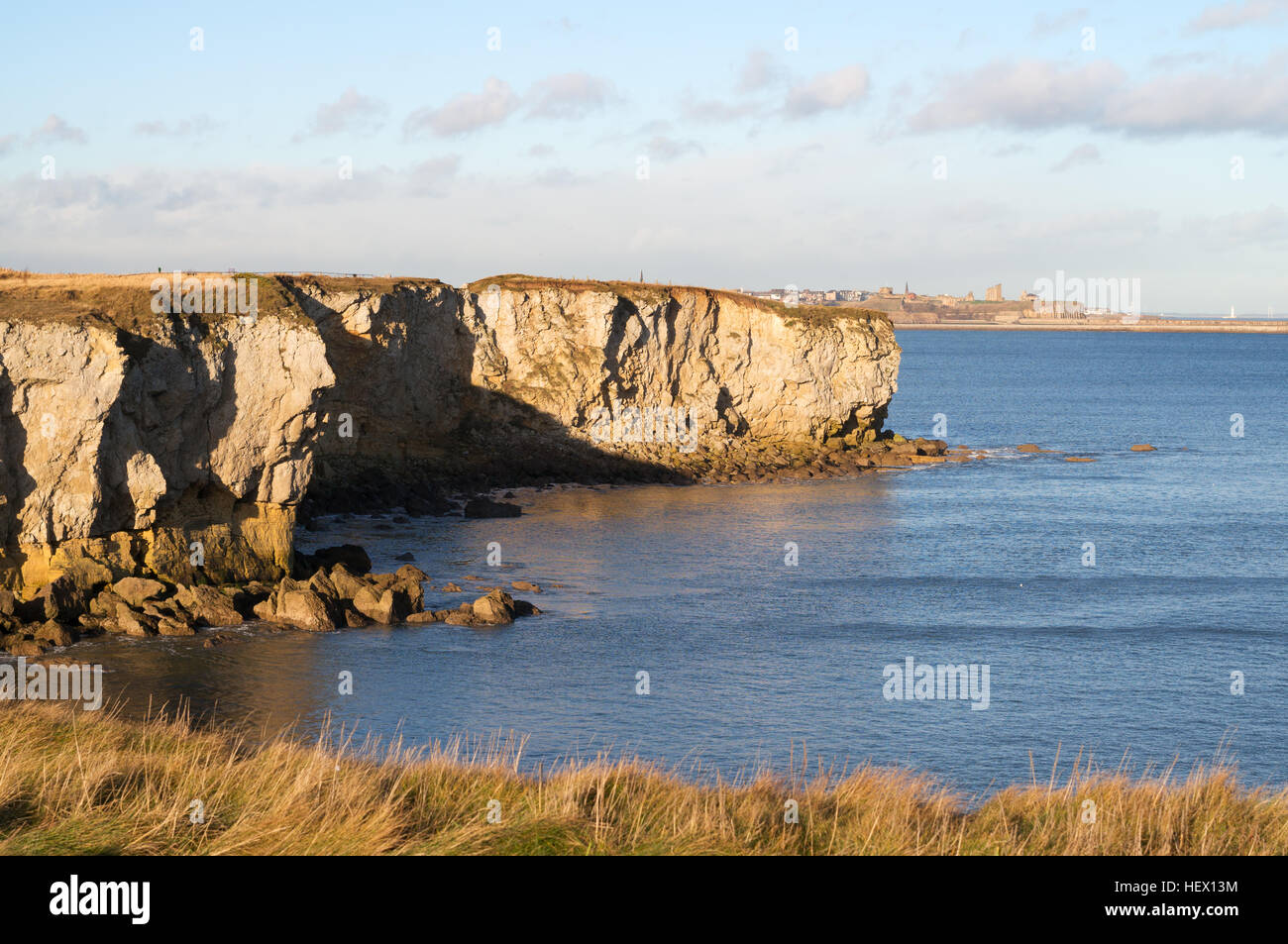 Cliffs at Frenchman's Bay, South Shields, South Tyneside, England, UK