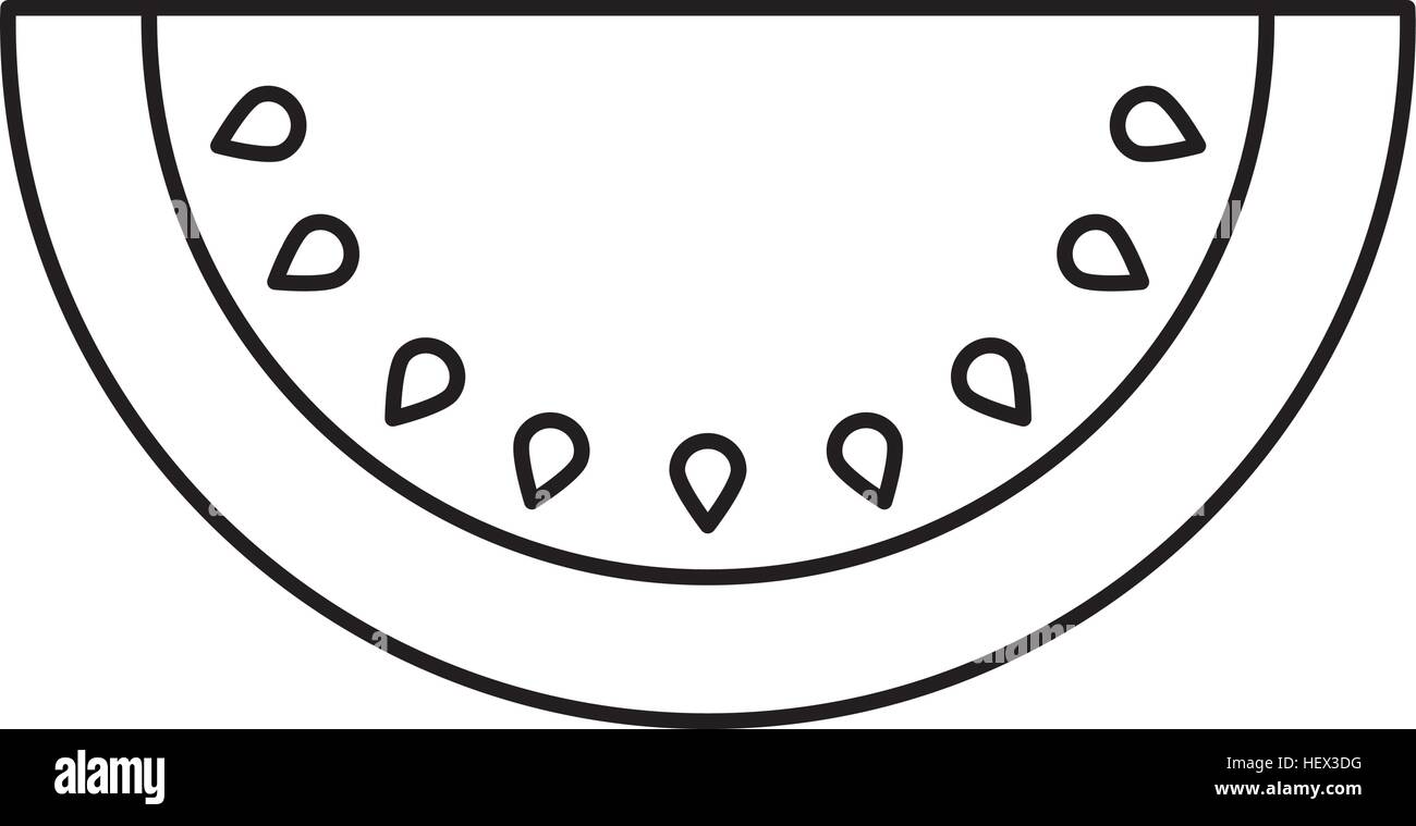 watermelon fresh fruit drawing icon vector illustration design Stock