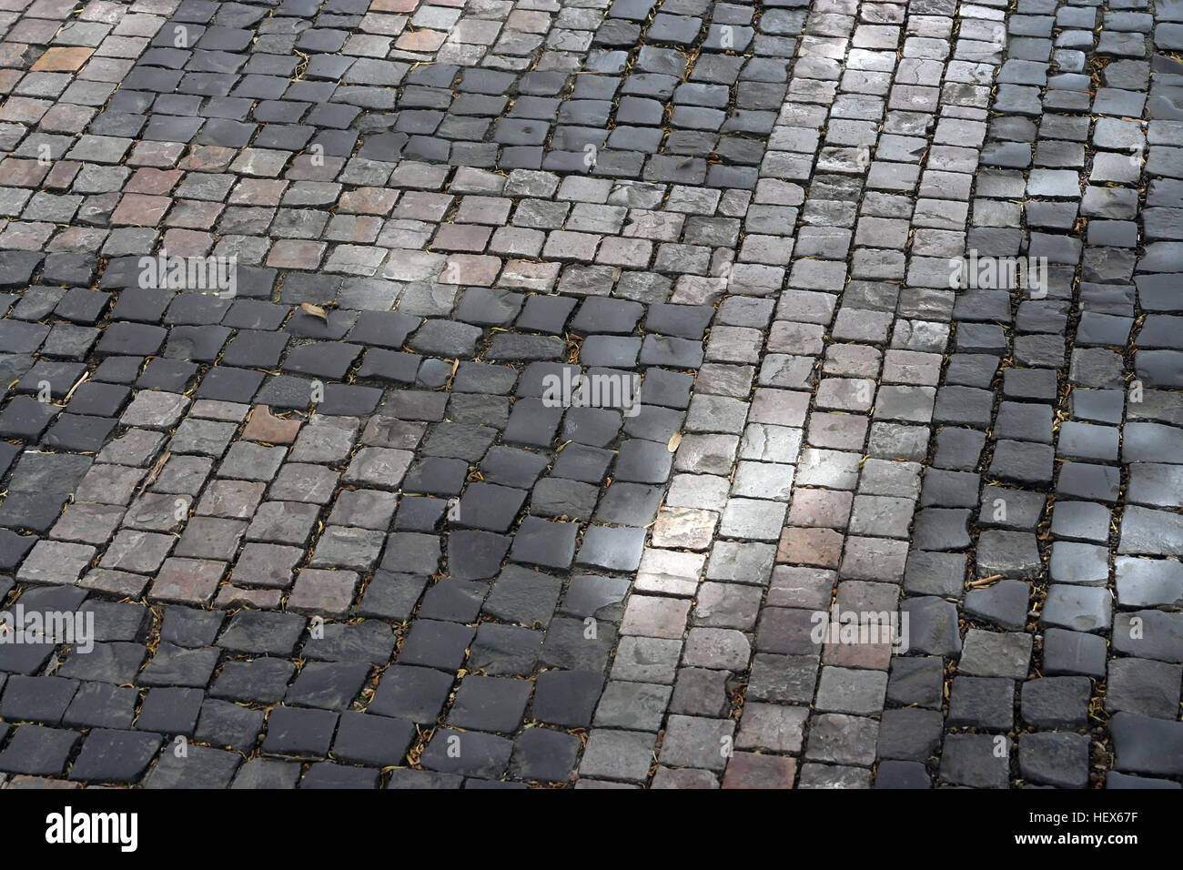 Cobble stone paved street. Cobble stone. Stock Photo