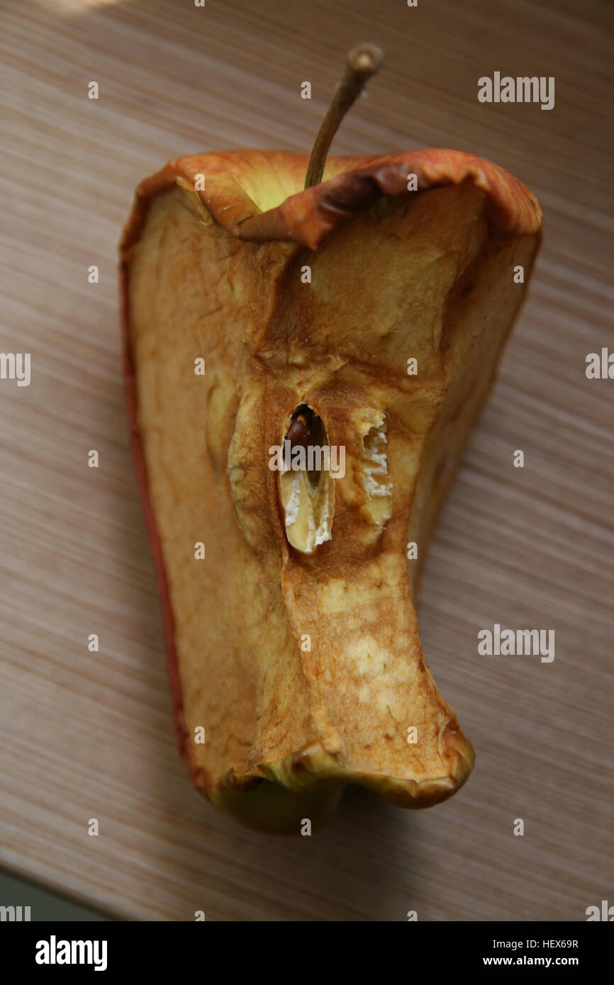 Old rotten apple. Old dry apple Stock Photo Alamy