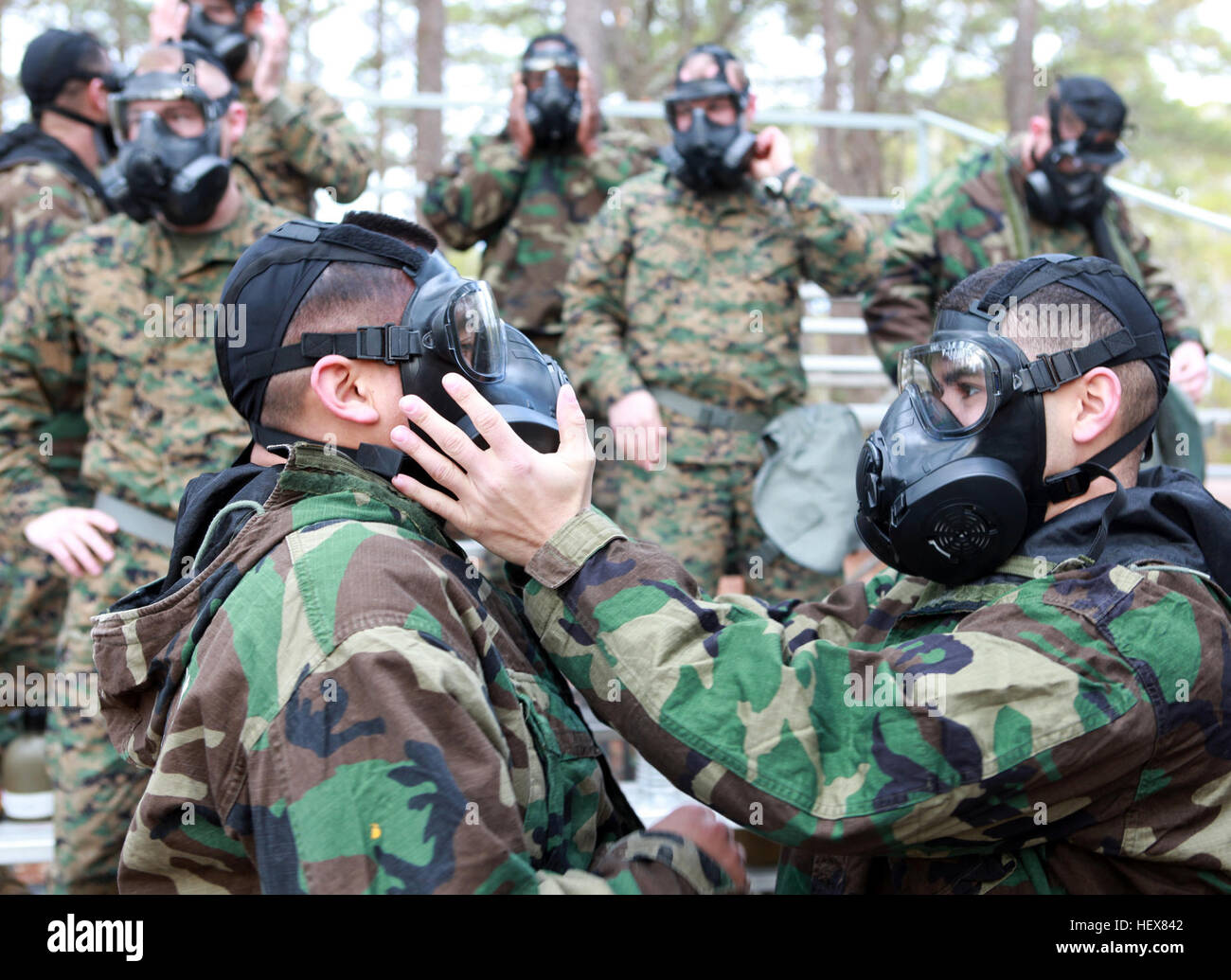 Cpl. Robert Mendez, left, and Lance Cpl. Xaviar Olivo, right, of the 24th Marine Expeditionary Unit, examine each others' M50 Joint Service General Purpose Gas Mask for deficiencies during a gas training exercise at the Marine Corps Base Gas Chamber on Camp Lejeune, N.C., Feb. 3. Marines with the 24th MEU trained on the new M50 JSGPM, which has been phasing out the 1980s-era M40 Field Protective Mask across the Marine Corps since September 2009. 24th MEU MarinesE28099 walk in the woods gets gaseous DVIDS365773 Stock Photo