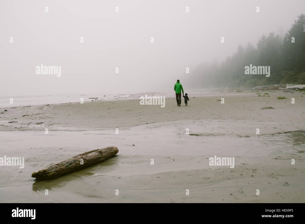 Father and son walking on beach, rear view, Long Beach, Vancouver Island, British Columbia, Canada Stock Photo