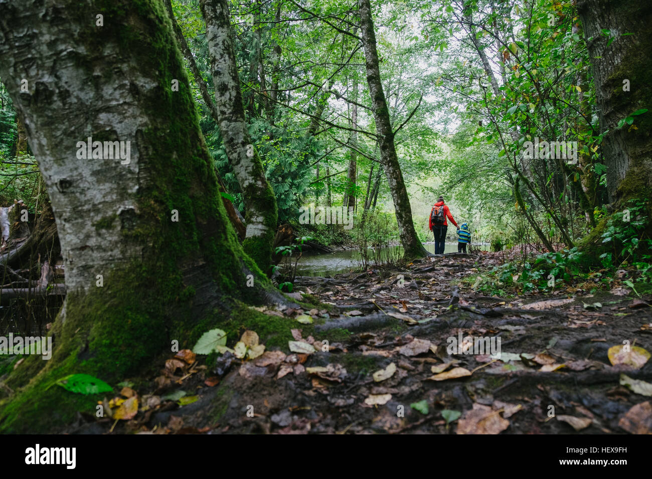 Mother and son walking through forest, rear view, Vancouver, British Columbia, Canada Stock Photo