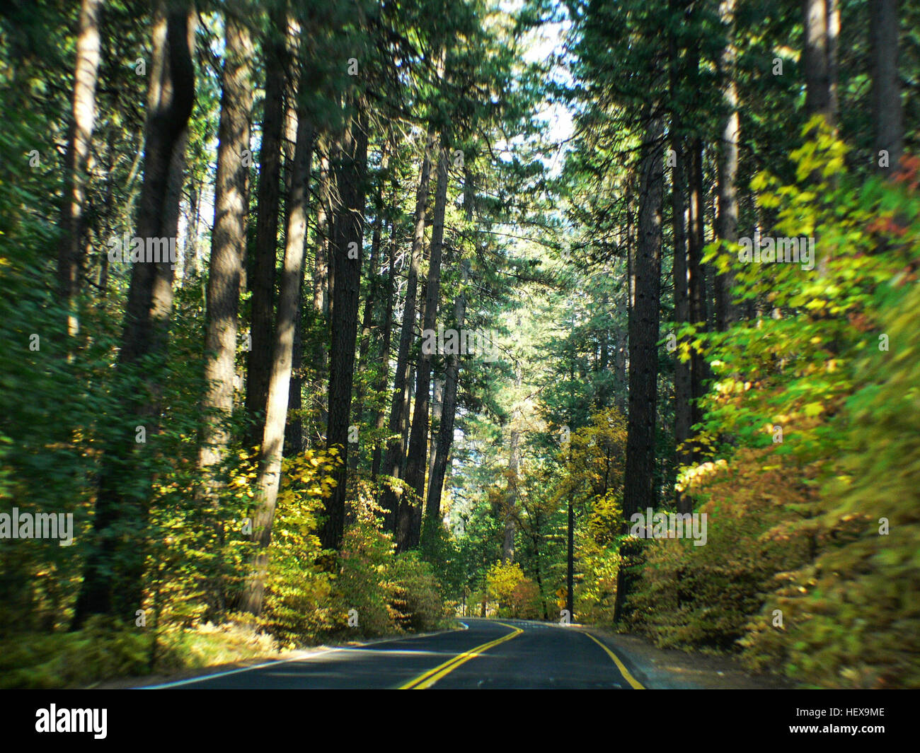 ,,Bridge Camera,Half Dome,High SierraCalifornia,National Park,WATERFALLS,autumn,camping,fall,mountains,outdoors Stock Photo