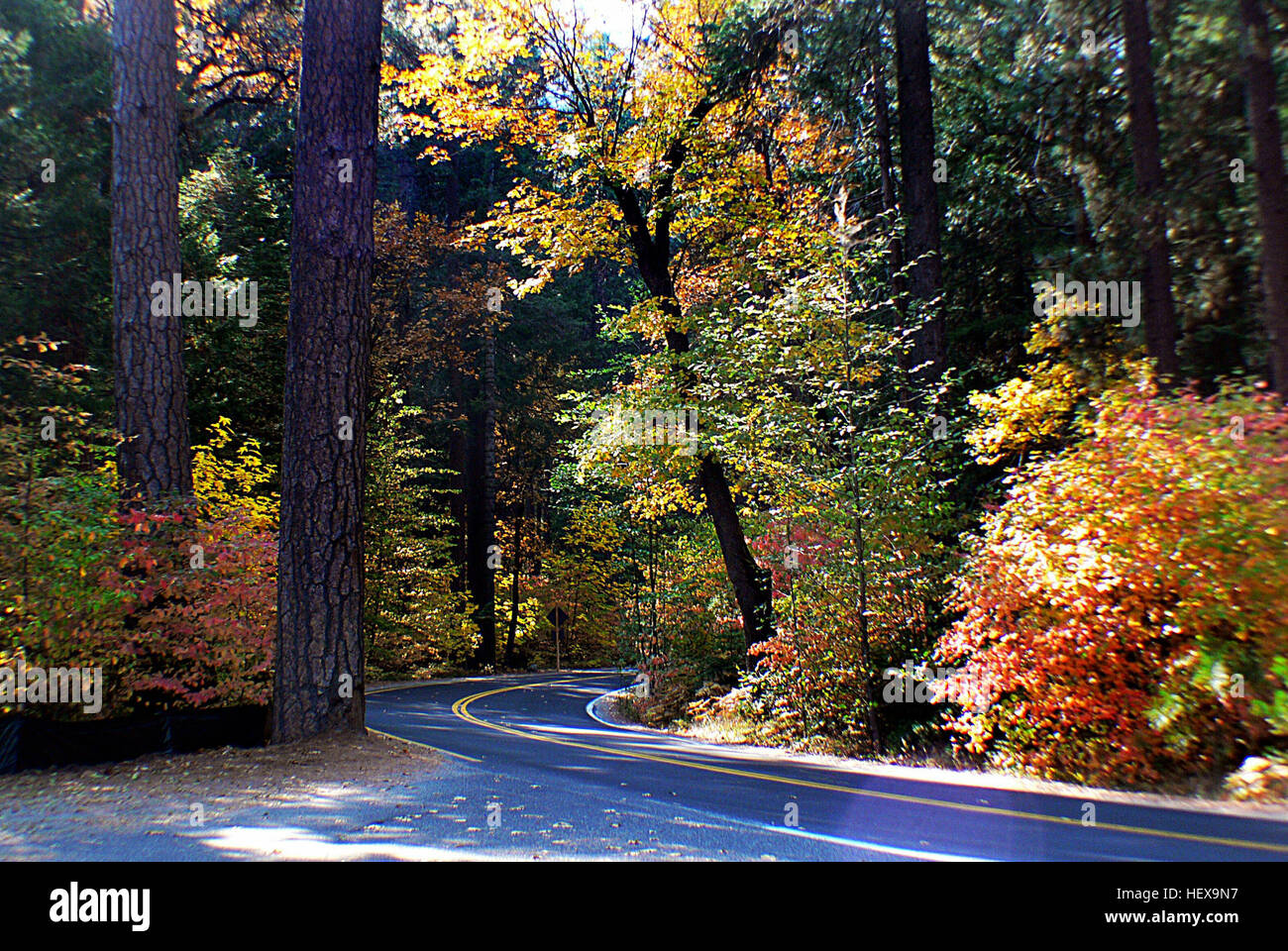 ,,Bridge Camera,Half Dome,High SierraCalifornia,National Park,WATERFALLS,autumn,camping,fall,mountains,outdoors Stock Photo