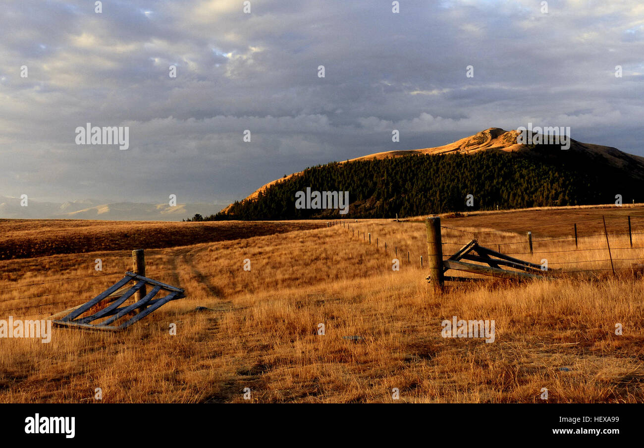 ication (,),Brown grass,FlickrElite,Landscape,Lumix FZ200,Mout John Lake tekapo,New Zealand,evening Stock Photo